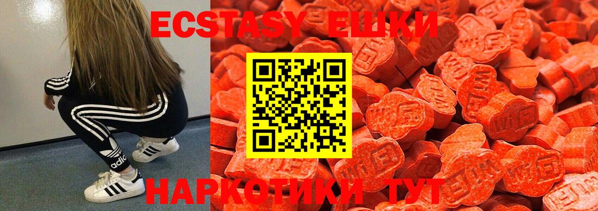Ecstasy TESLA  ЭКСТАЗИ ешки  Арсеньев  Вход с VPN 
