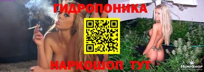 прущие грибы Комсомольск-на-Амуре