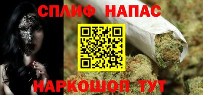 прущие грибы Комсомольск-на-Амуре